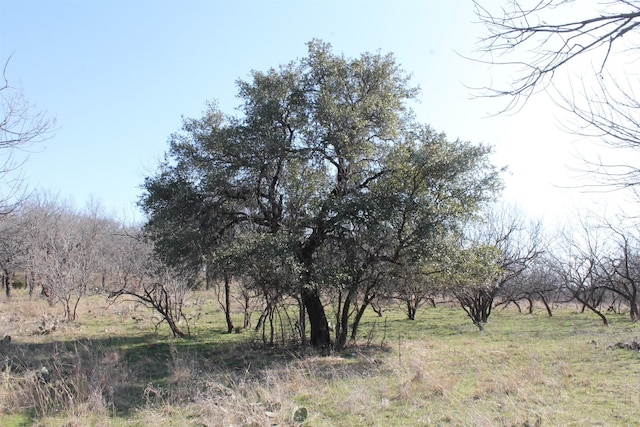 Listing photo 3 for LOT133 Cote D Azur Dr, Chico TX 76431