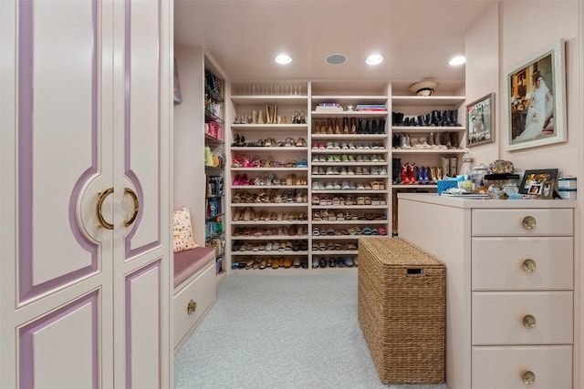 wine cellar with carpet floors