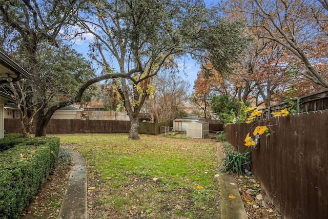 view of yard featuring a storage shed