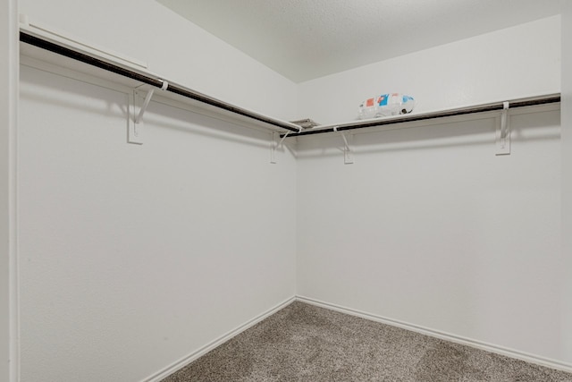 spacious closet with carpet floors