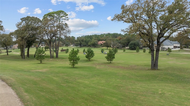 view of community featuring a lawn