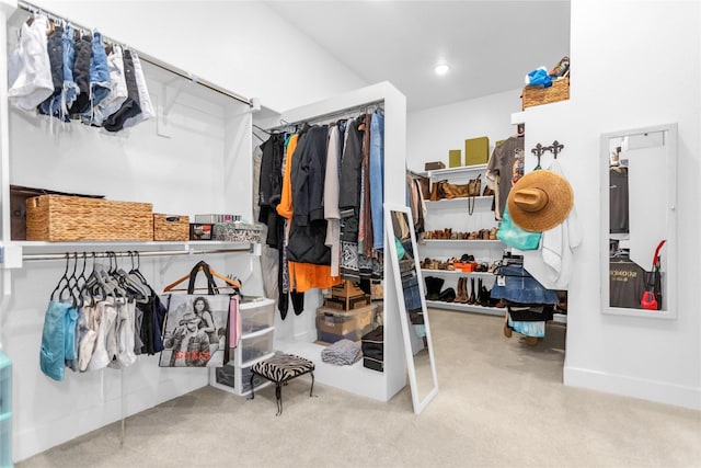 spacious closet featuring carpet