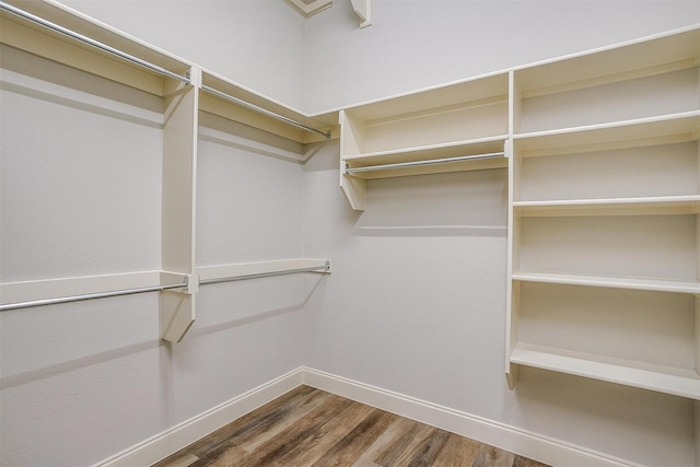 spacious closet featuring wood-type flooring