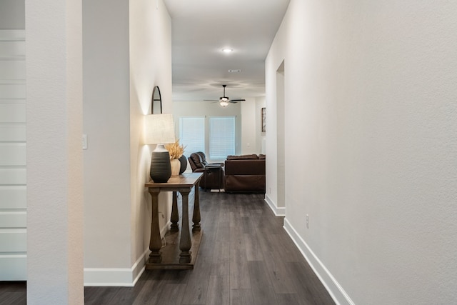 corridor with dark wood-type flooring