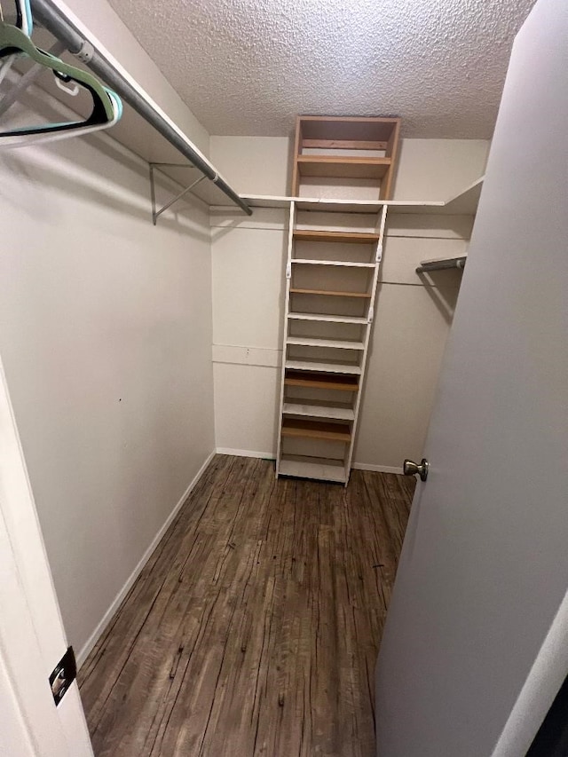 walk in closet featuring dark wood-type flooring