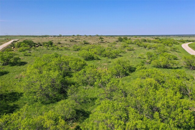 48ACRES Bowen Loop, Jacksboro, TX 76365
