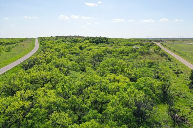 48ACRES Bowen Loop, Jacksboro, TX 76365