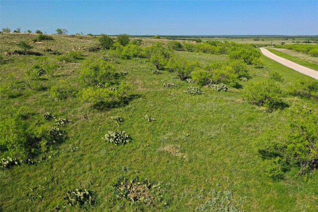 48ACRES Bowen Loop, Jacksboro, TX 76365