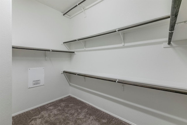 spacious closet featuring dark colored carpet