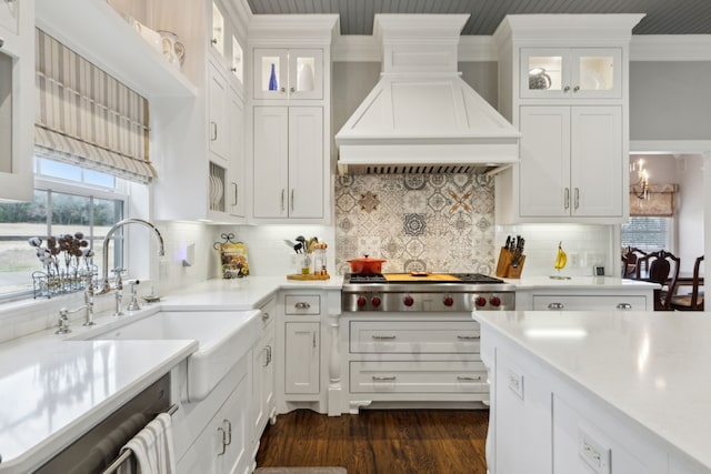 kitchen featuring white cabinetry, crown molding, stainless steel appliances, and custom range hood