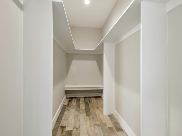 spacious closet featuring light wood-type flooring