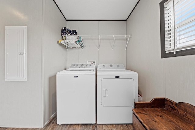 laundry area with ornamental molding, wood-type flooring, electric panel, and washing machine and dryer