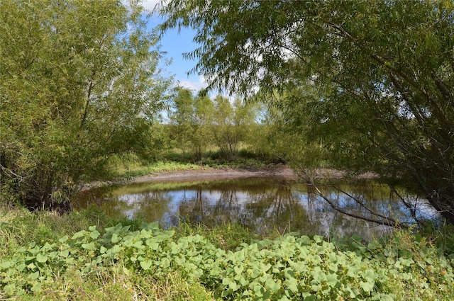 view of water feature