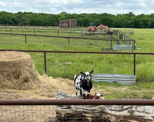 view of yard with a rural view