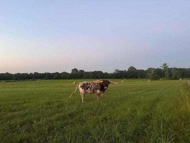 nature at dusk with a rural view