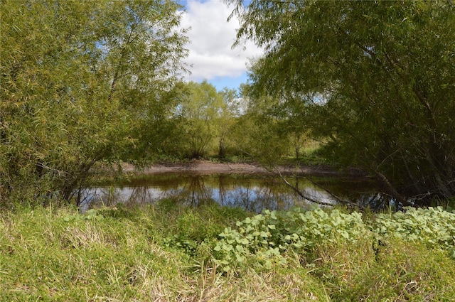 view of water feature