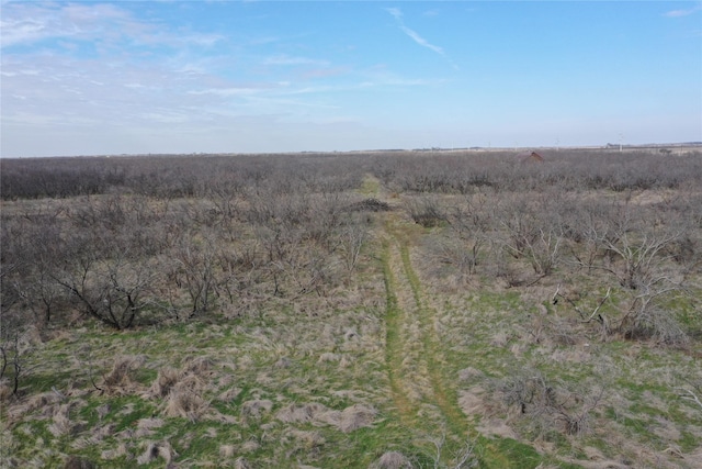 view of nature featuring a rural view