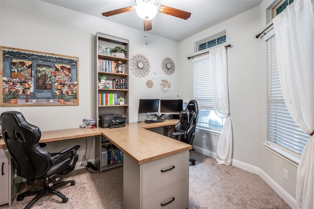 carpeted office featuring ceiling fan