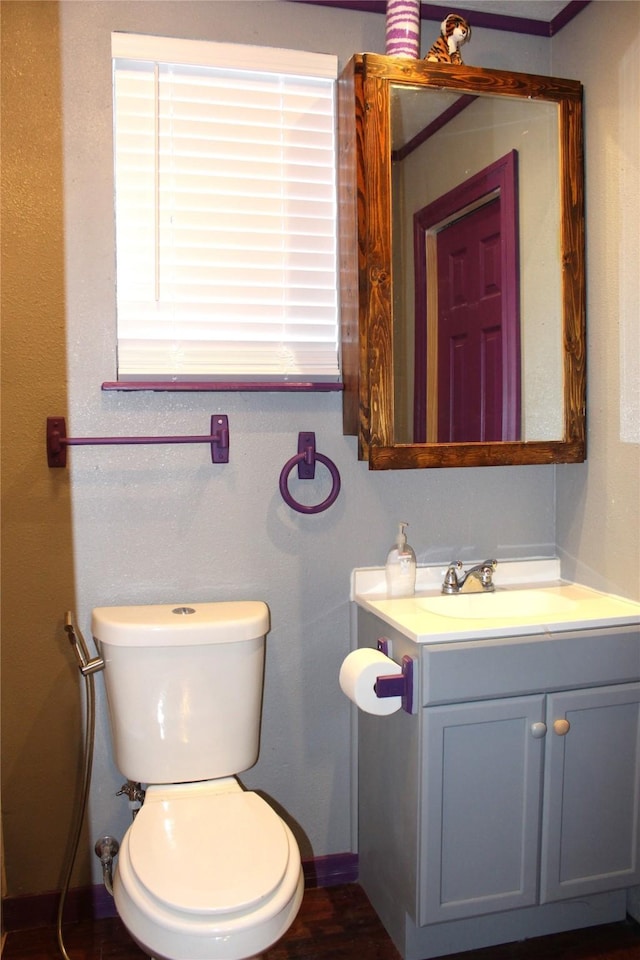 bathroom with vanity and toilet