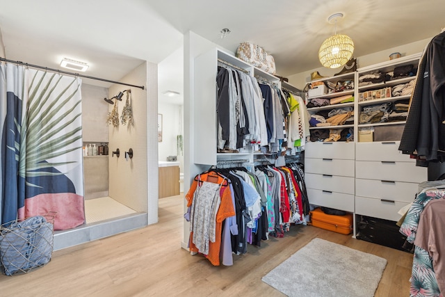 9704 Lanward Dr, Dallas, TX 75238 - spacious closet featuring light hardwood / wood-style flooring