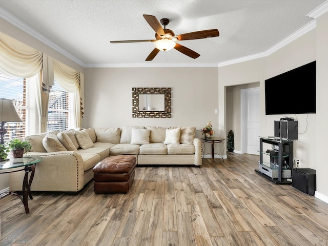 living area featuring a textured ceiling, ceiling fan, light wood-style flooring, and crown molding