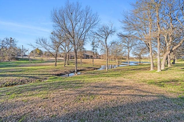 view of yard with a water view