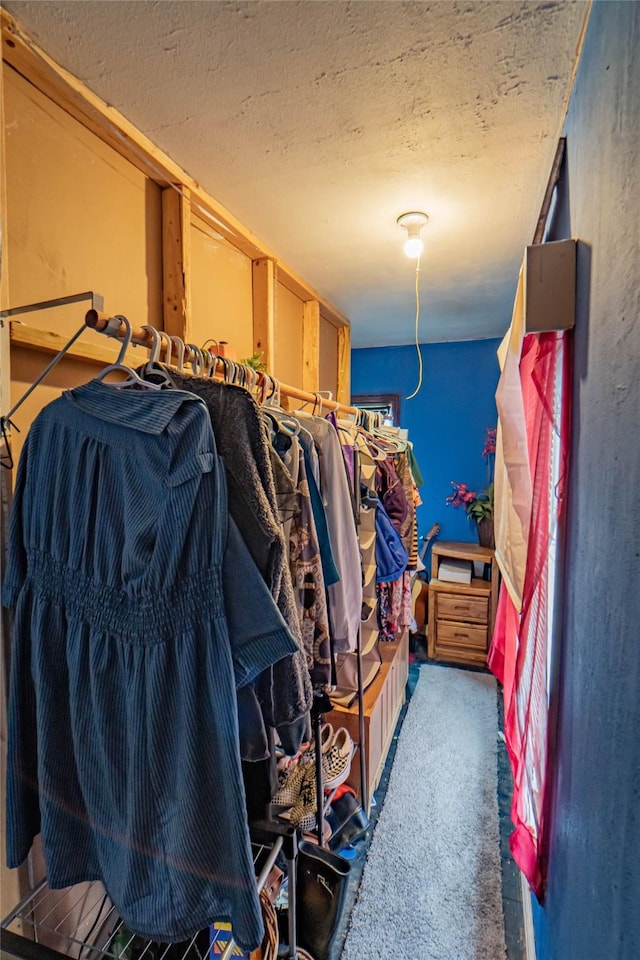 spacious closet featuring dark colored carpet