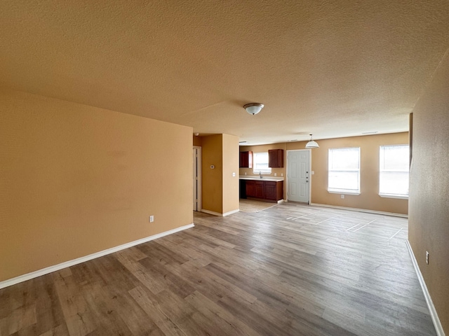 721 Prairie Creek Dr, Princeton, TX 75407 - unfurnished living room featuring light hardwood / wood-style floors and a textured ceiling