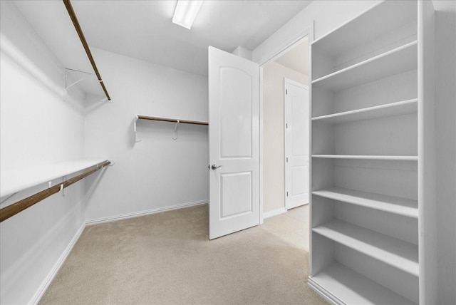 walk in closet featuring carpet flooring