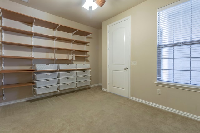 9525 Crestview Dr, Denton, TX 76207 - view of storage room