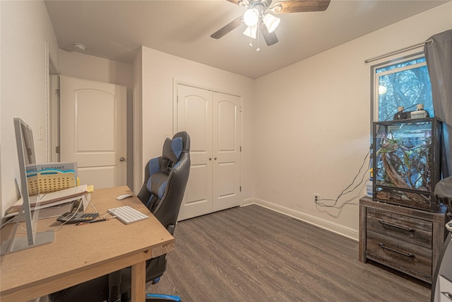 office area featuring dark hardwood / wood-style floors and ceiling fan