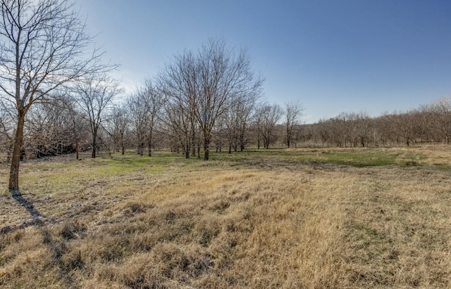 view of local wilderness with a rural view