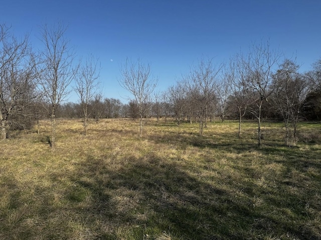 view of yard with a rural view