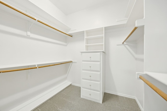 spacious closet featuring light colored carpet