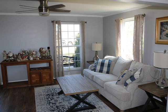 living room featuring ceiling fan, a wealth of natural light, crown molding, and dark hardwood / wood-style flooring