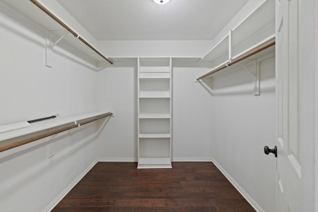 walk in closet featuring wood finished floors