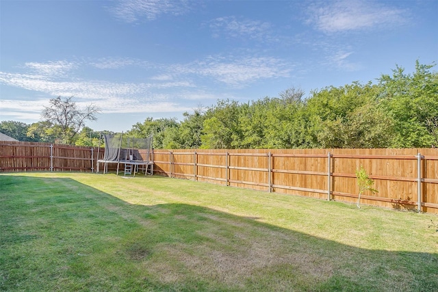 517 Ramon St, Burleson, TX 76028 - fenced backyard featuring a trampoline