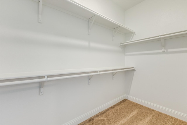 3917 Belleview Pl, Crandall, TX 75114 - walk in closet with light carpet