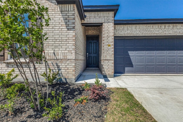 3917 Belleview Pl, Crandall, TX 75114 - view of exterior entry with an attached garage, brick siding, and driveway