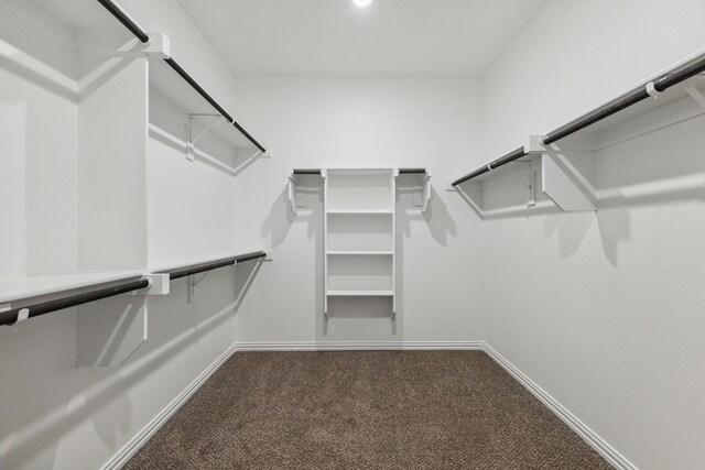 spacious closet featuring carpet floors