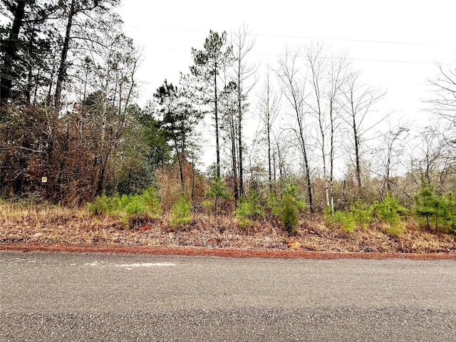 Listing photo 2 for TBD Haynes Rd, Marshall TX 75671