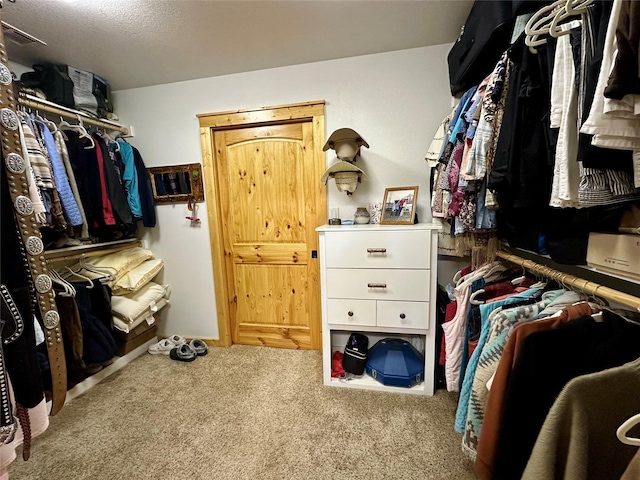 spacious closet featuring carpet