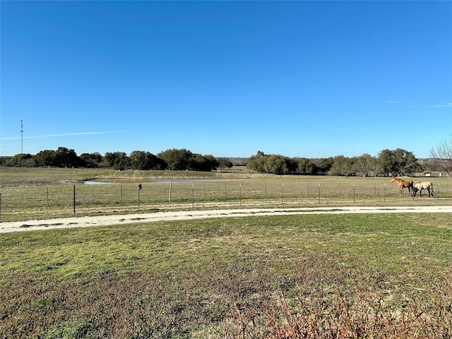 view of yard with a rural view