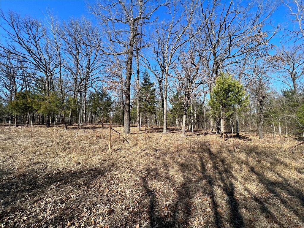 TBD County Road 3376, Emory, TX 75440