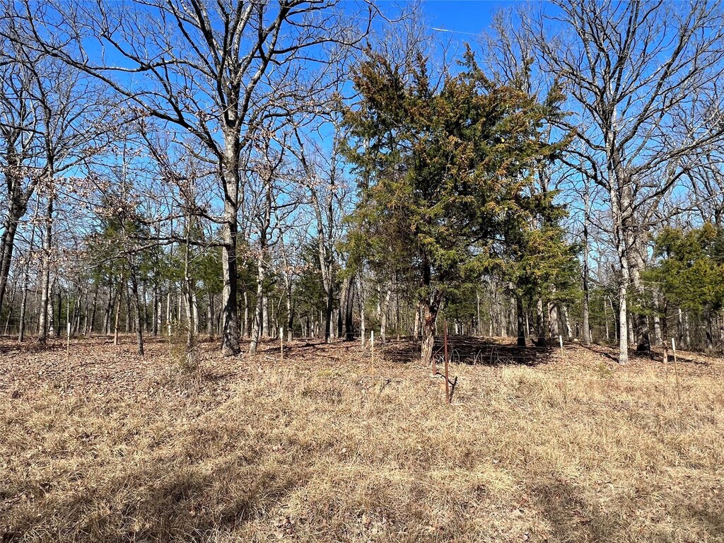 TBD County Road 3376, Emory, TX 75440