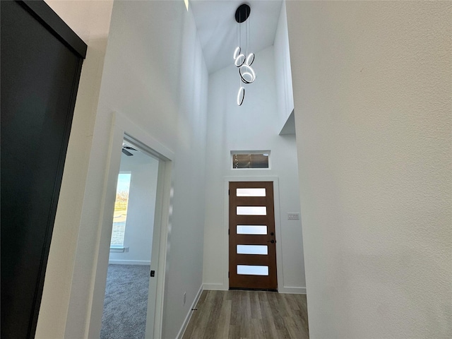 foyer featuring a high ceiling and hardwood / wood-style flooring