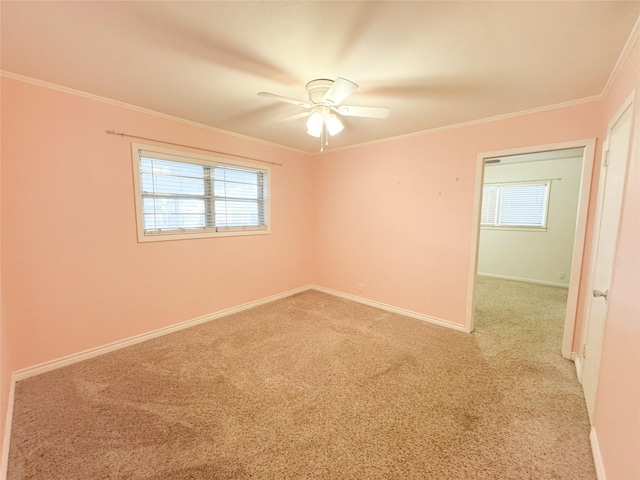 spare room featuring ornamental molding, carpet flooring, and ceiling fan