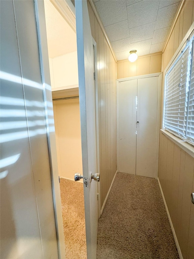 doorway with carpet flooring and wood walls
