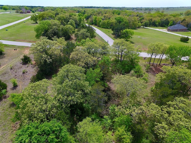 65RA Dublin Cir, Gordonville TX, 76245 land for sale