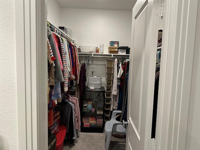 spacious closet featuring carpet floors